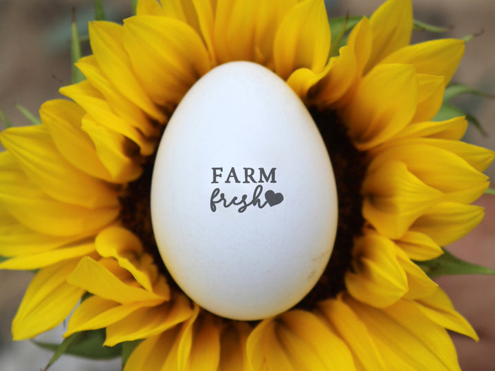 Just Got Laid Egg Stamp – Wild Feather Farm