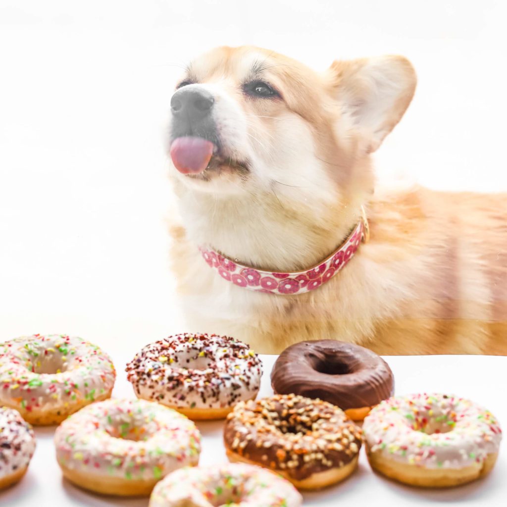 can dogs eat glazed donuts