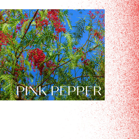 Pink pepper berries
