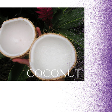 Split coconut fruit exposing white flesh