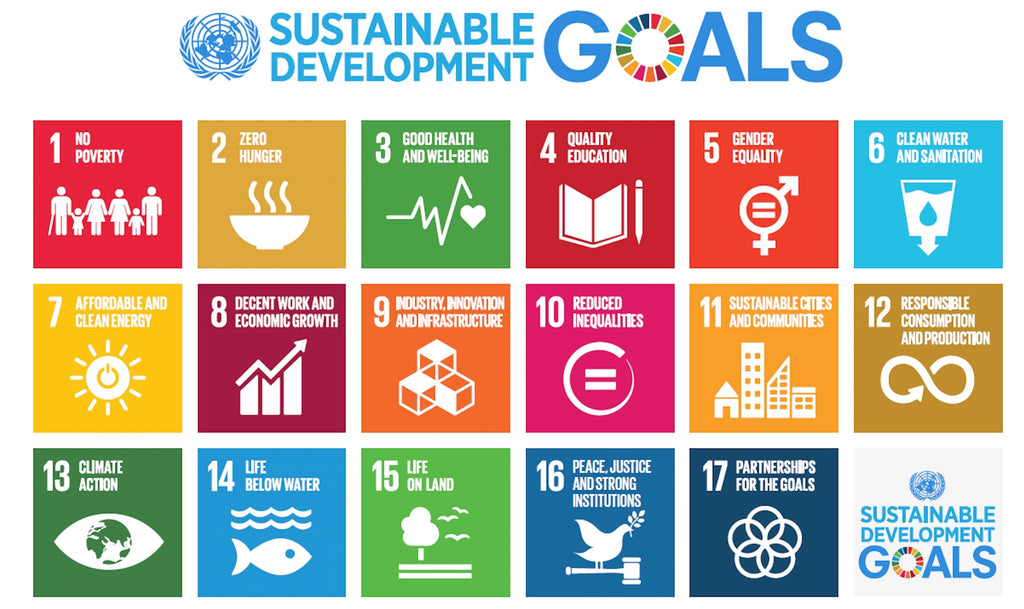 UN Sustainable Development  Goals