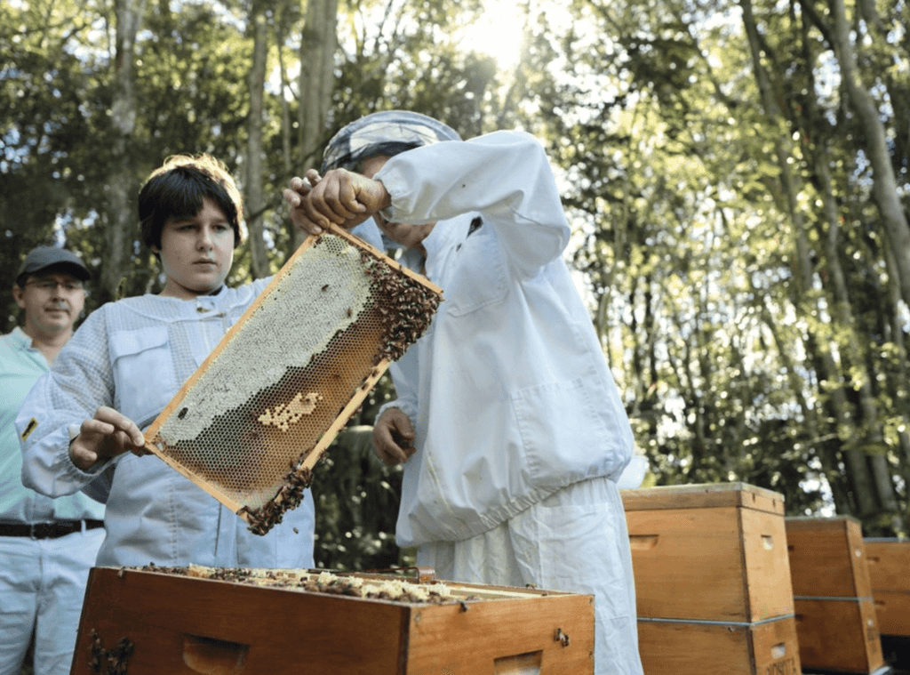 Zubko Family Beekeeping