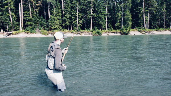 Playing a Chinook salmon