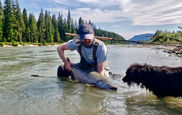 Chinook Salmon