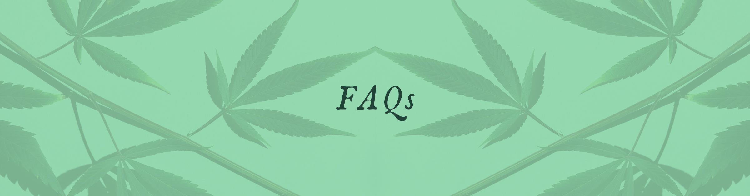 Sacred Ace CBD Skincare FAQs