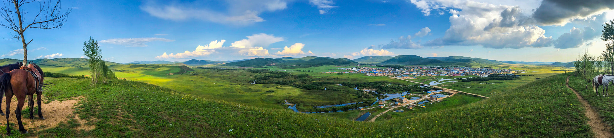 Mongolia Panorama