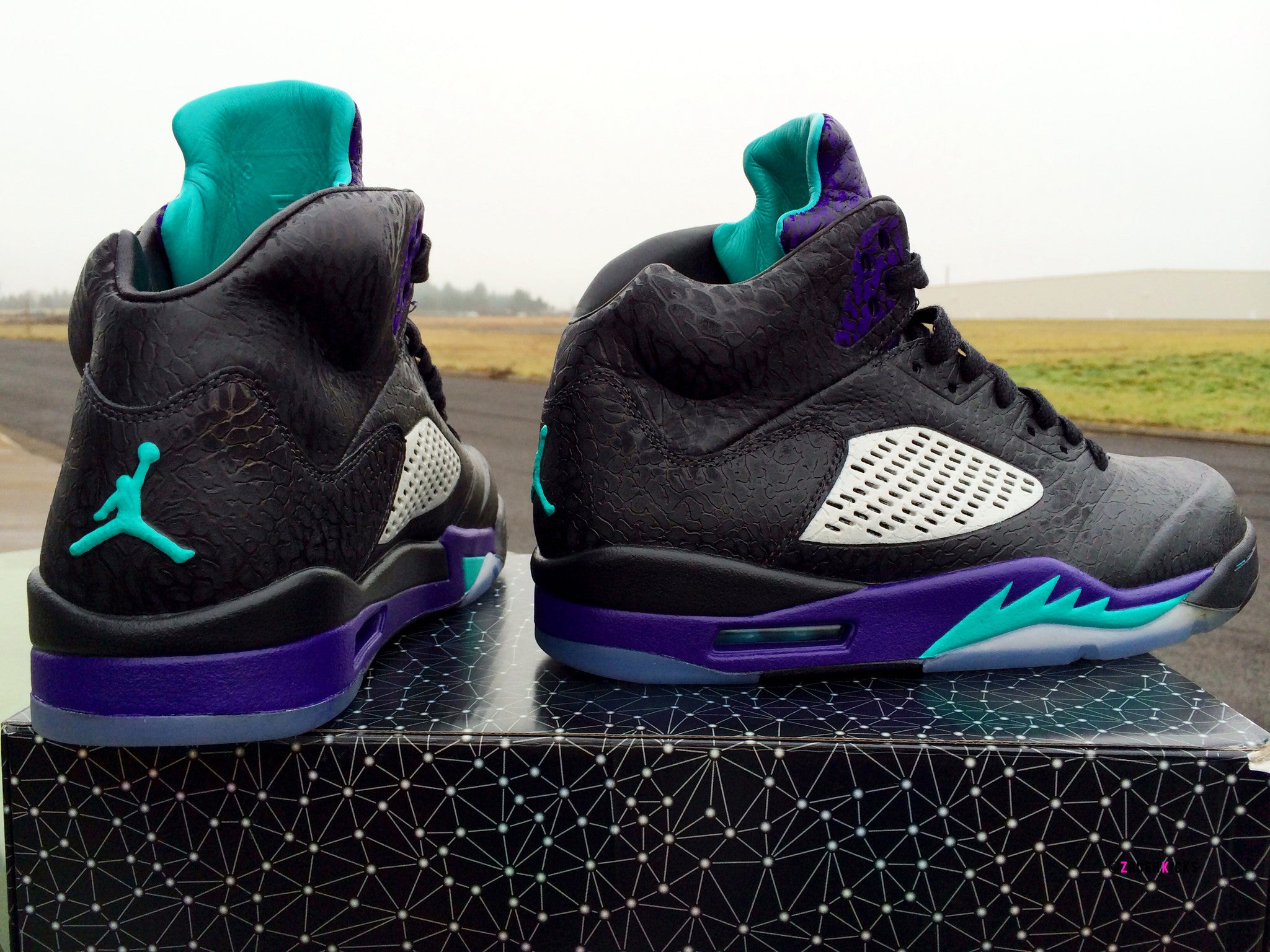  Custom  Nike Air Jordan  3Lab5 Grape Zadehkicks