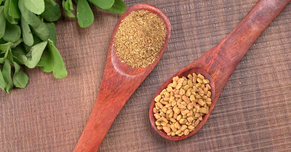 6 Benefits of Fenugreek Seeds for Hair  4 Ways to Use It