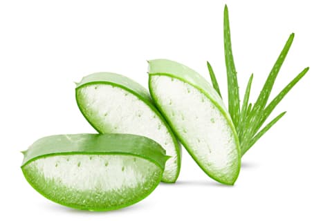 Aloevera For Dark Spots