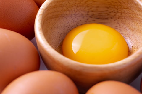 Egg yolk