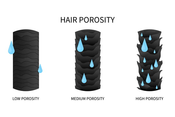High Porosity Hair