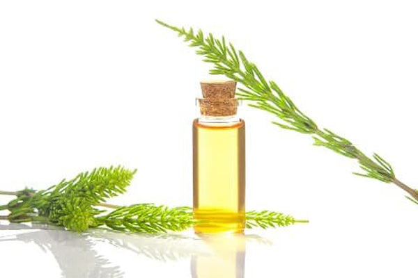 Horsetail Extract For Hair