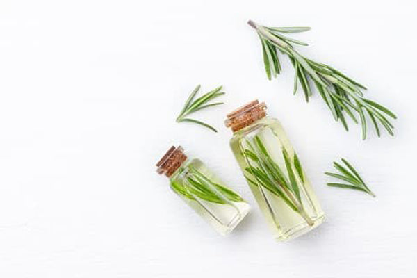 Rosemary For Hair