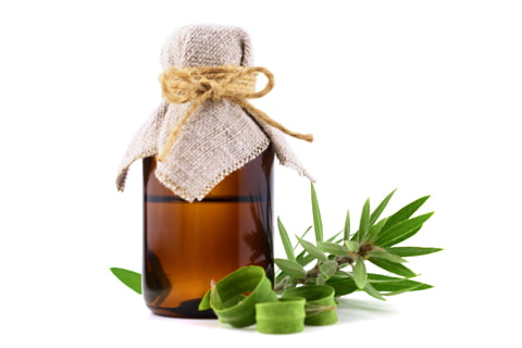 Tea Tree Oil