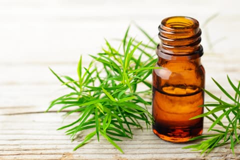 Tea Tree  Oil