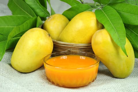 Uses Of Mango