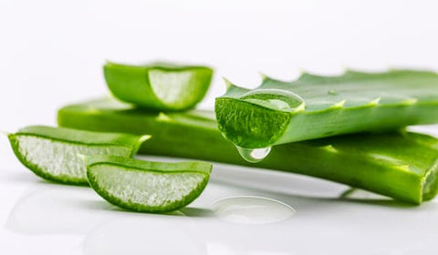 Aloe-Vera-for-dark-eye-circles