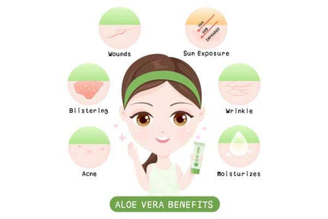 aloe-vera-benefits-derma-essentia