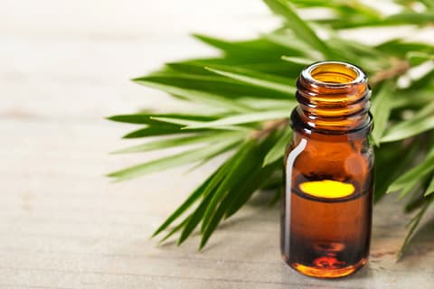 Tea Tree Oil