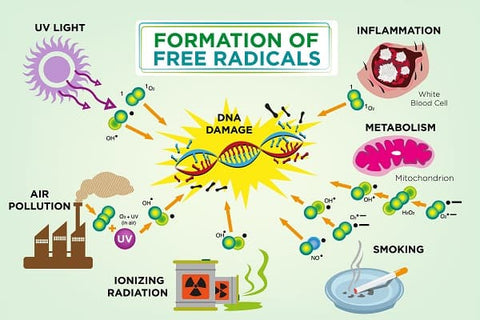 what-causes-free-radicals-derma-essentia