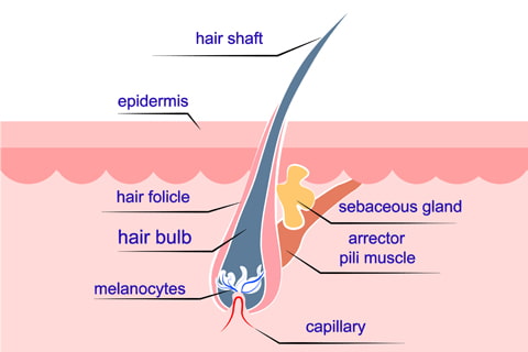 What is and its causes along with its treatment? – Essentia