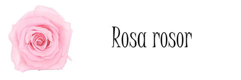 rosa rosor betydelse