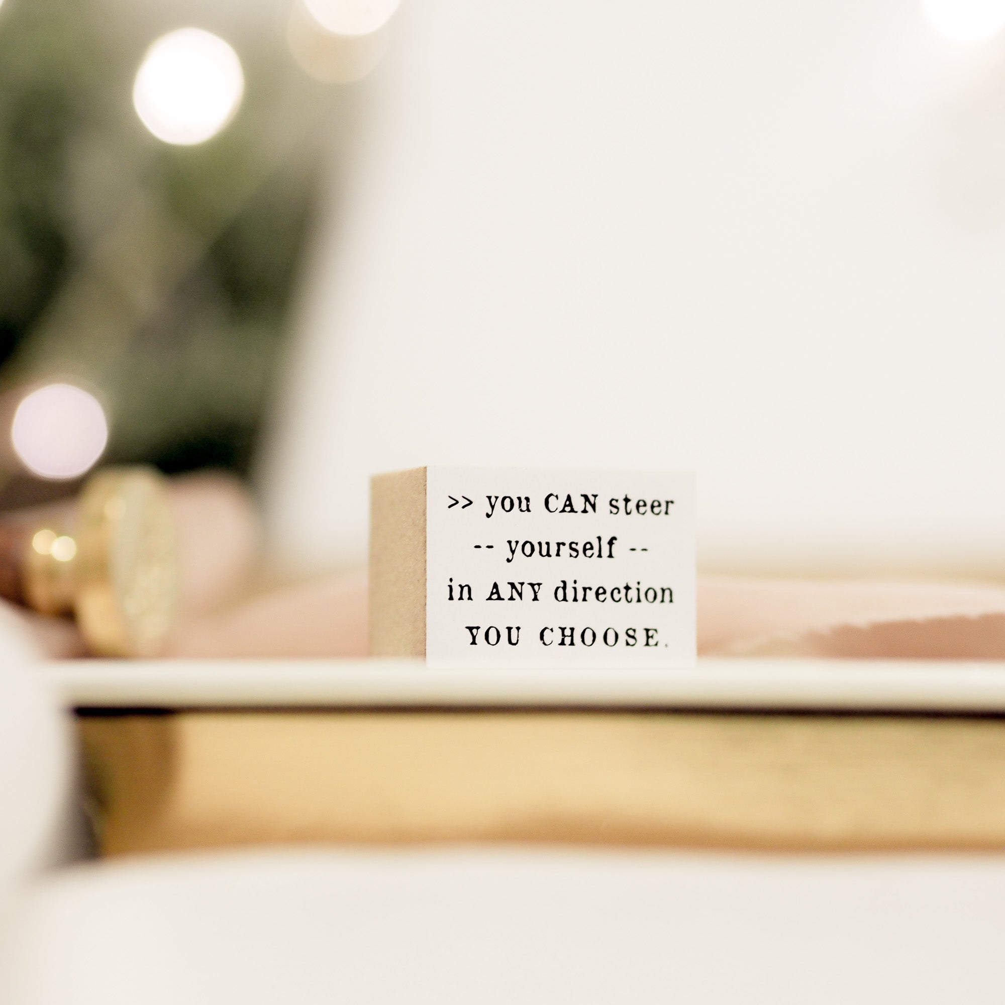 You Can Steer Yourself in Any Direction You Choose