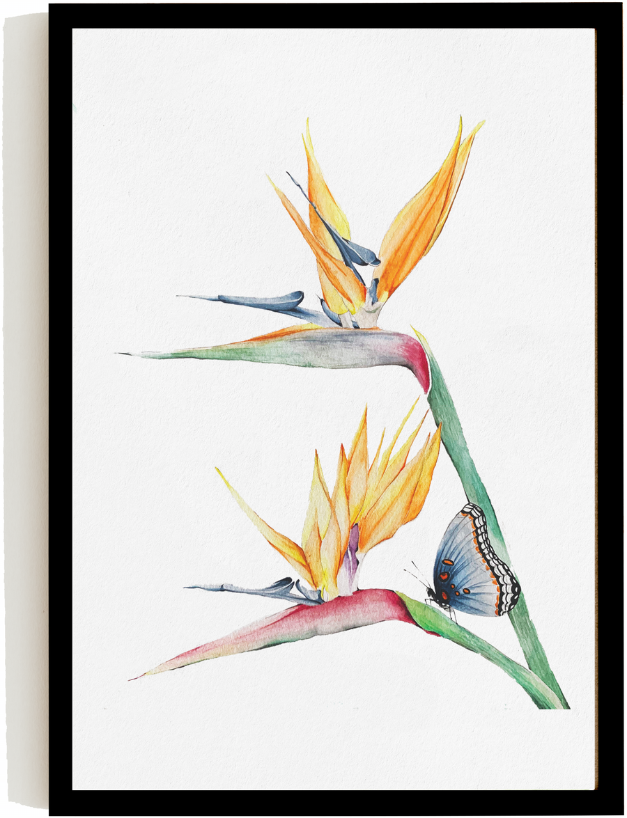 Flor del pájaro – Rosario Mena