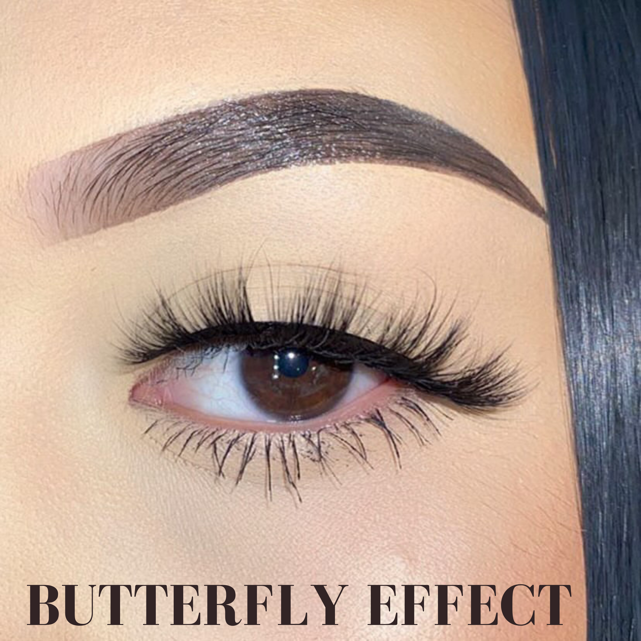 Download Butterfly Effect 3d Mink Lashes Tianaxone