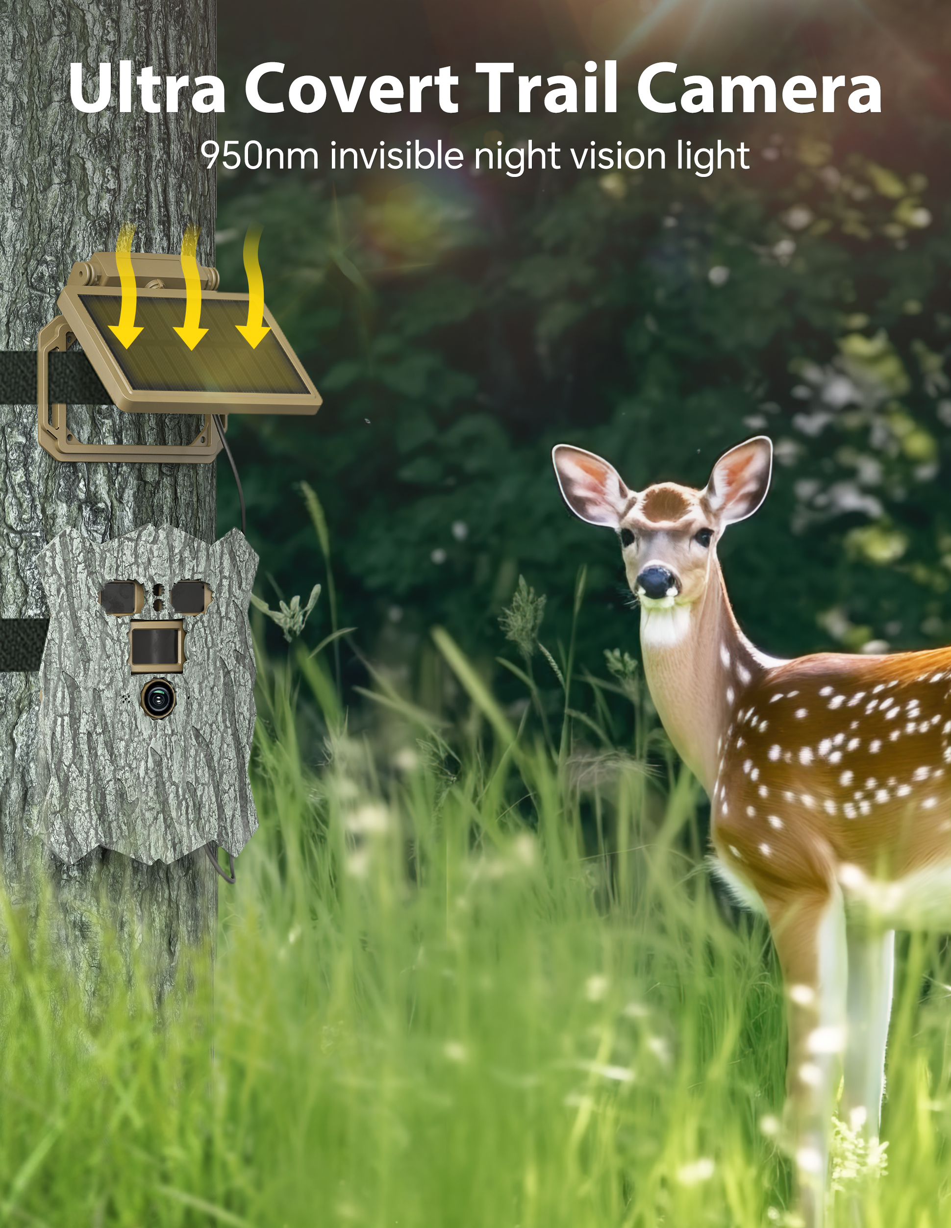 wifi trail cameras with night vision motion activated waterproof