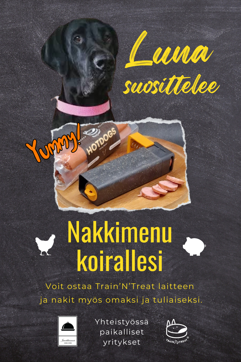 Koiramatkailu_Suomessa_koiraystavallinen_ravintola_Train_N_Treat_Juurikkasaari_Jyvaskyla