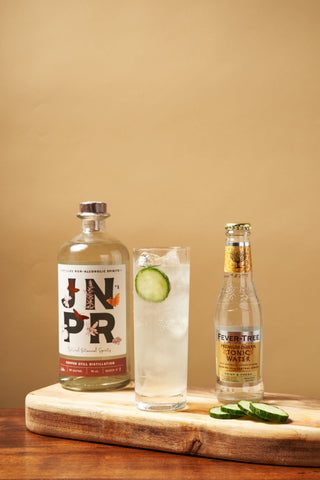 non-alcoholic cocktail: non-alcoholic gin and tonic