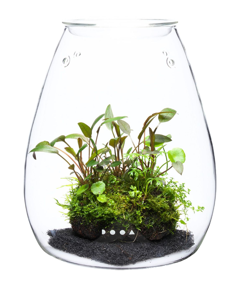 - - AquaScaper´s BiOrb 30 Oase – Galerie Air