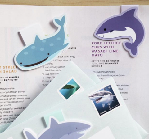 Craftedvan Whale Shark, and Shark Bookmarks