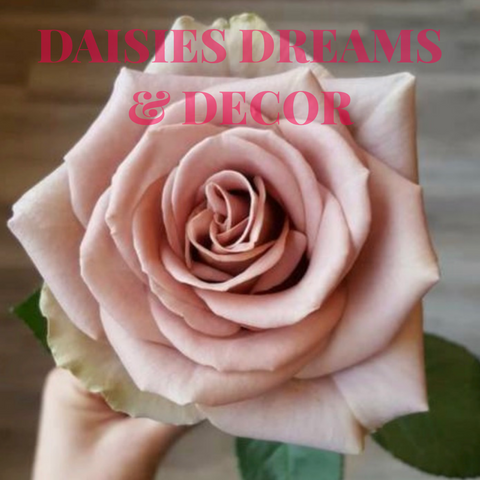 Daisies Dreams & Decor Store in Melfort Saskatchewan