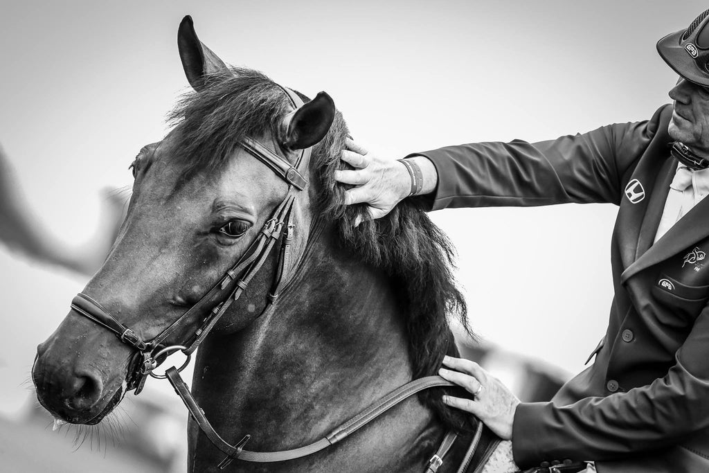 horseXperiences Stories Equestrian Roger Yvs Bost