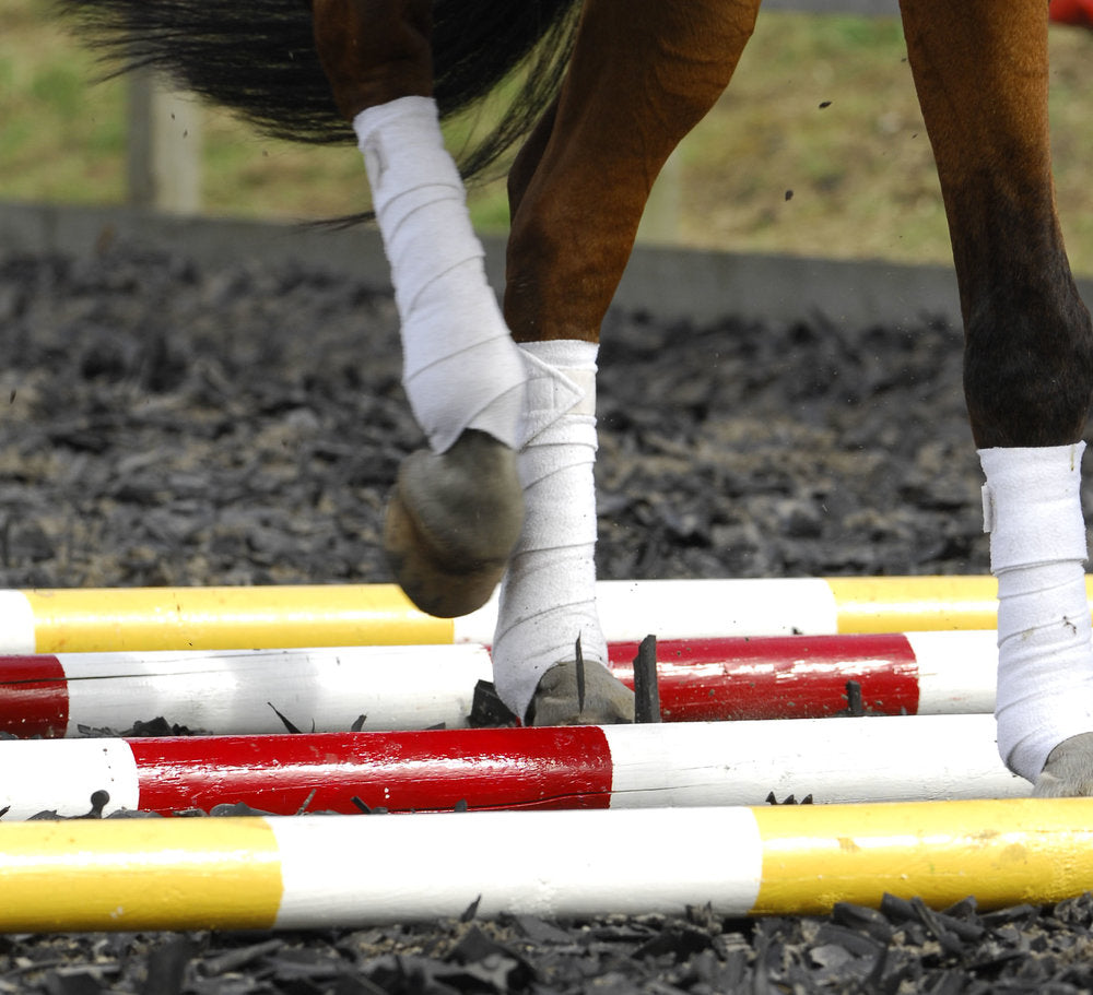 horseXperiences Simple Pole Exercises