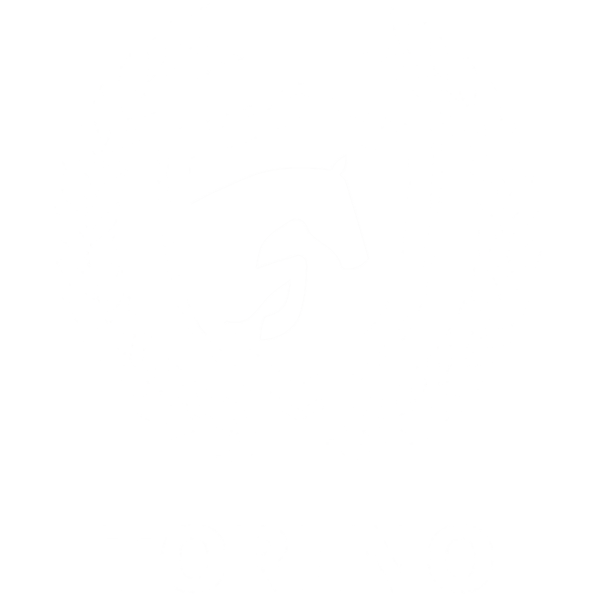Toreno Horses AG Logo