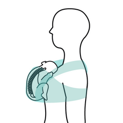 Le portage physiologique permet de respecter le corps et les besoins de positionnement de bébé.