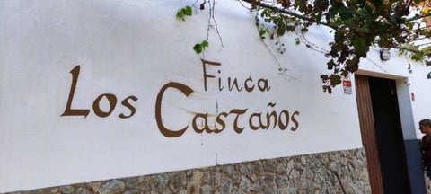 Die Finca Los Castanos
