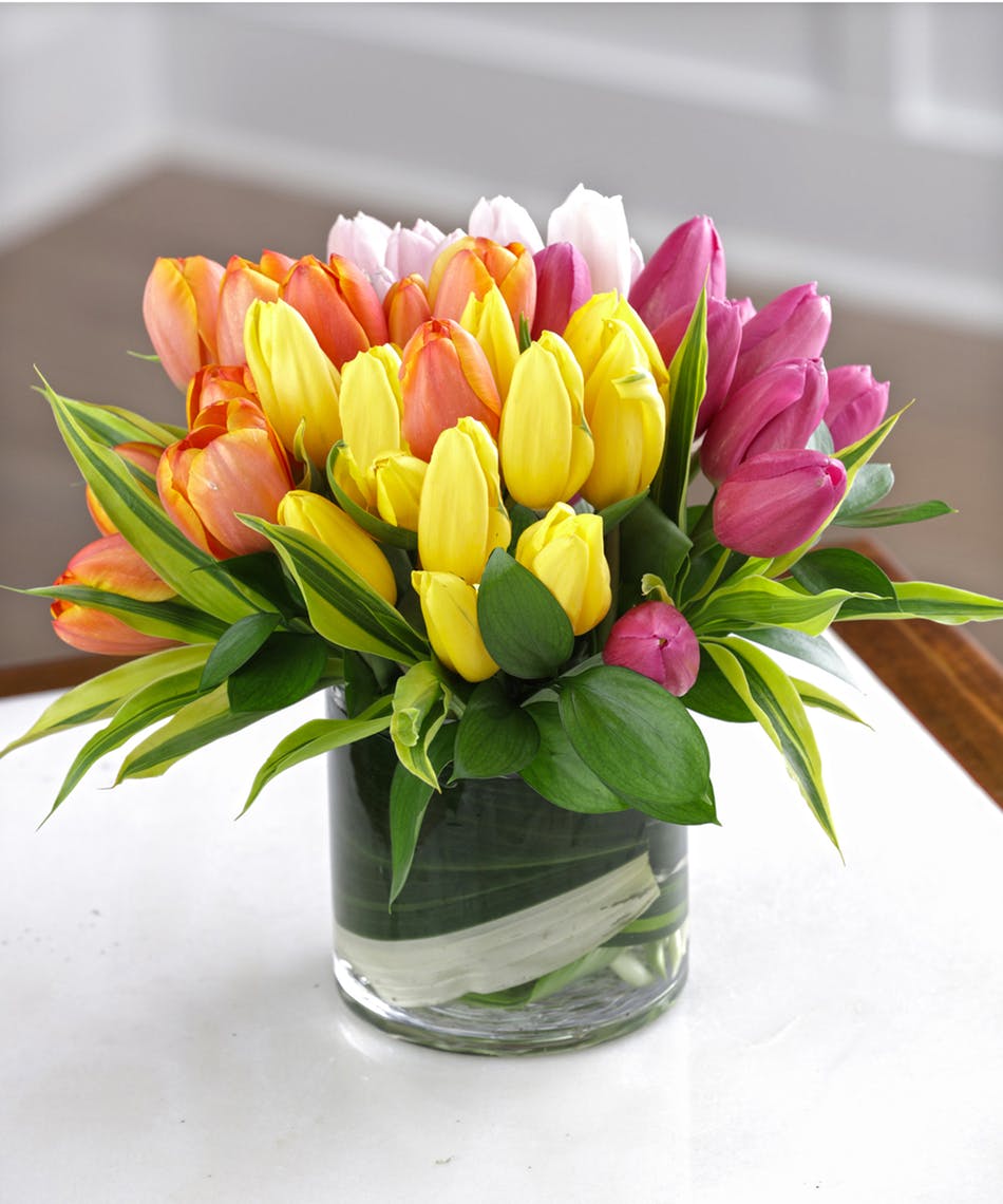 Spring Tulip Arrangement – Russo's