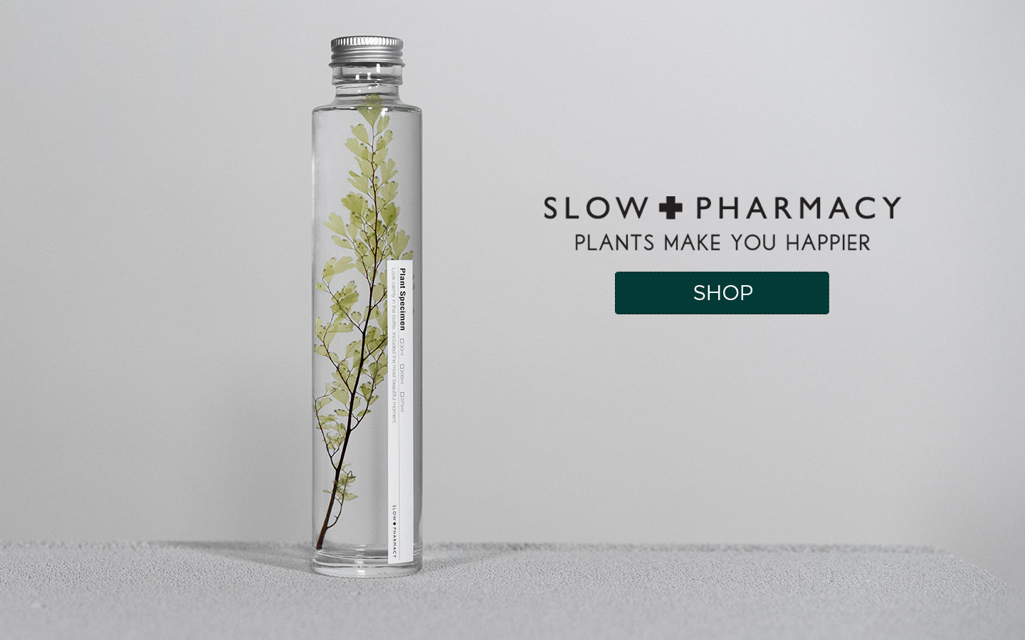 Plante en fiole Slow Pharmacy Adiantum tenerum SPM014