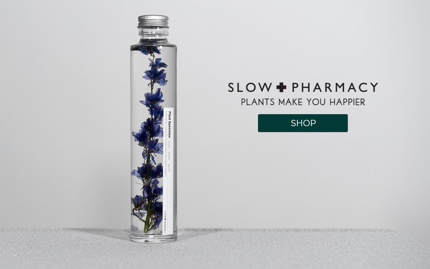 Plante en fiole Slow Pharmacy Delphinium SPM008