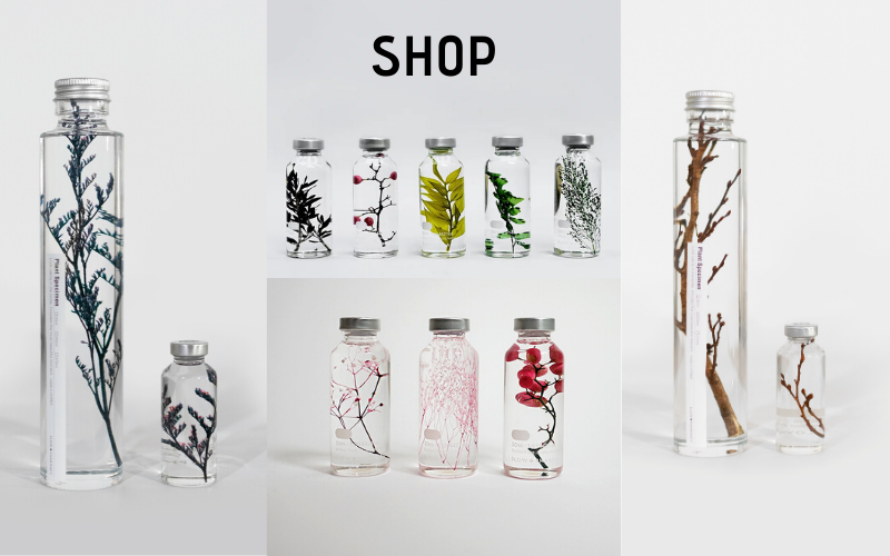 shop-plant-bottle-slow-pharmacy