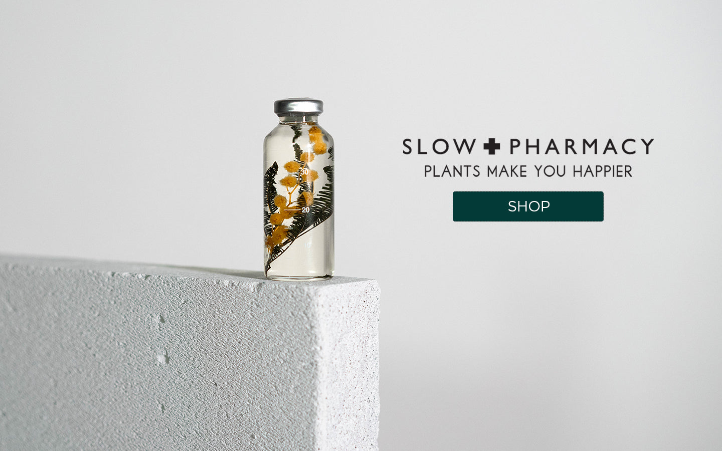 Slow Pharmacy Acacia dealbata SPS020