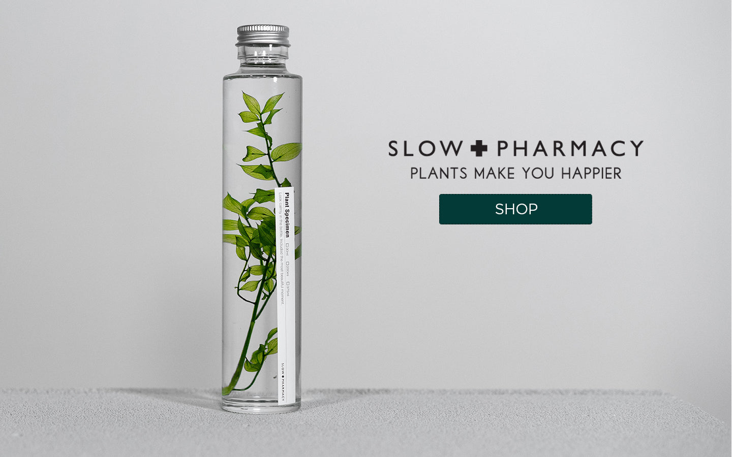 Slow Pharmacy Ruscus Aculeatus SPM004