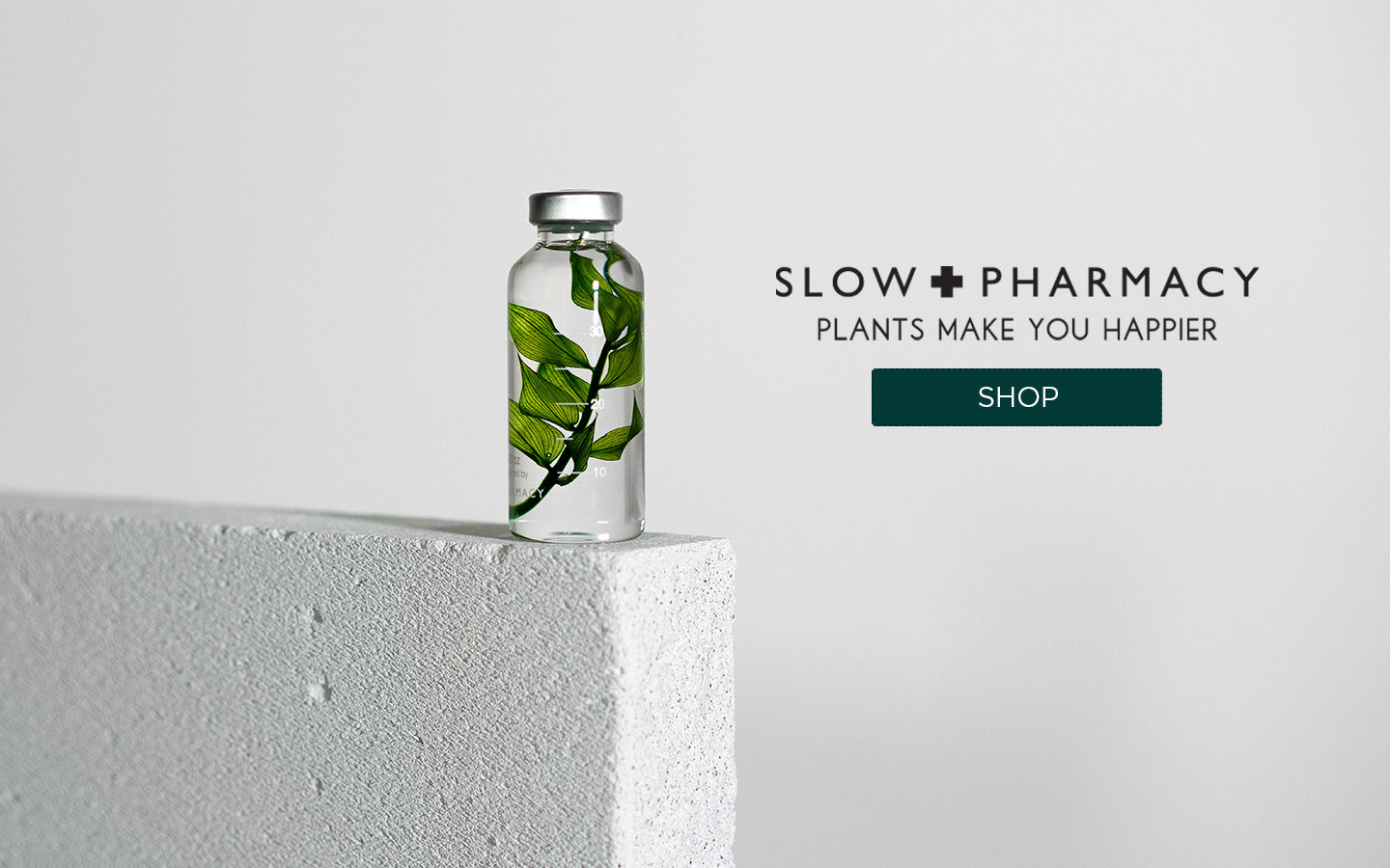 Slow Pharmacy Ruscus aculeatus SPS010