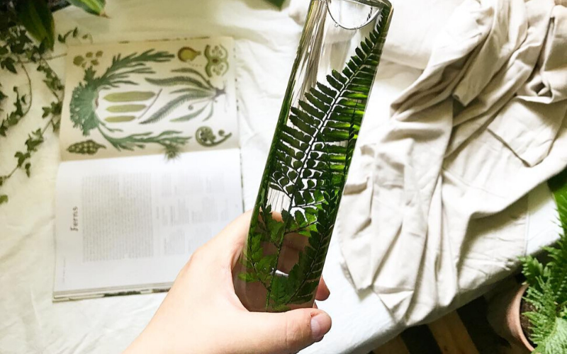 Plante immergée, Herbarium, Fleur en bouteille, Idée cadeau 