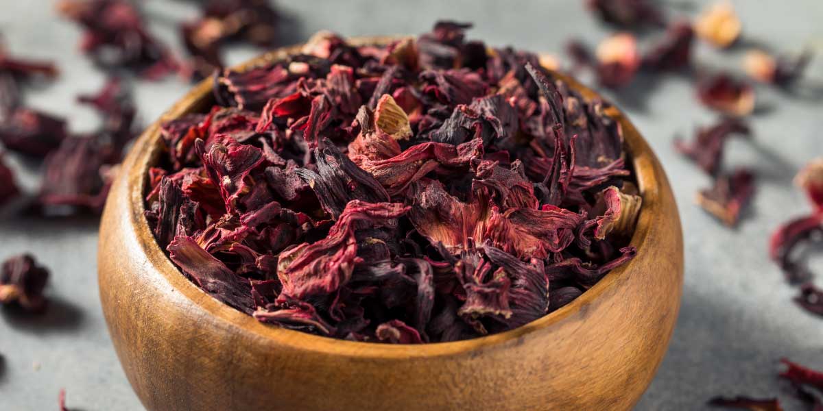 8 Bienfaits de la Tisane à l'hibiscus - Tassao Paris