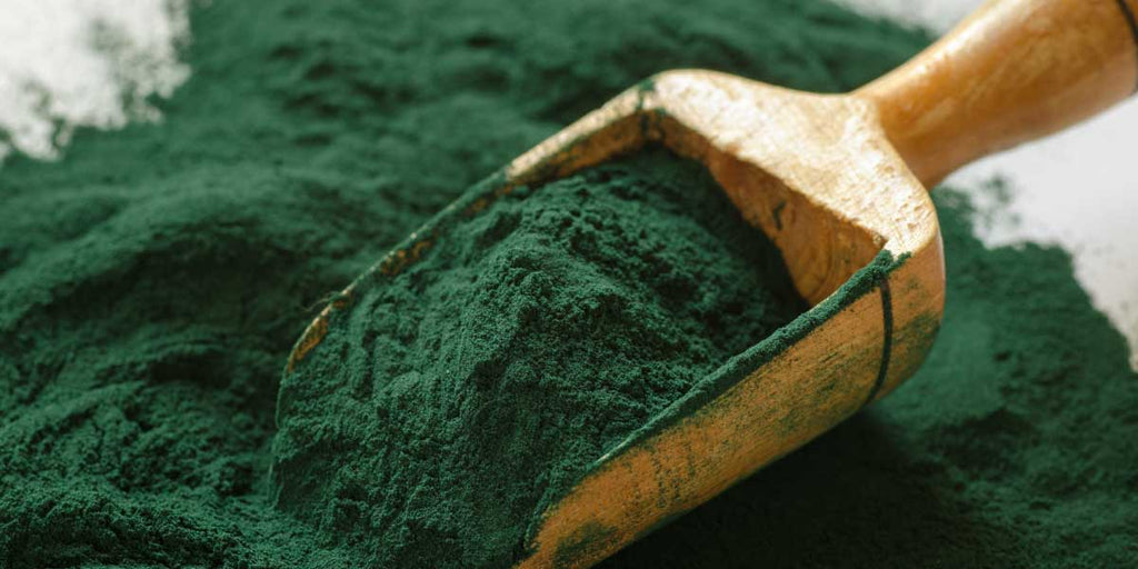 Spiruline : les effets positifs sur votre corps et votre esprit